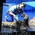 池袋太陽城水族館-31.jpg