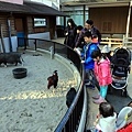 上野動物園-27.jpg