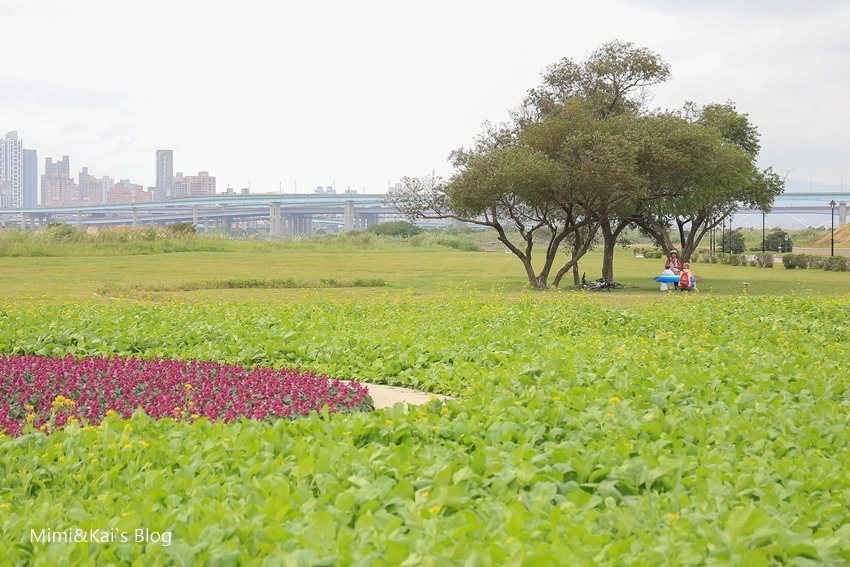 【鴨鴨現身新北市】超萌鴨鴨地景公園:自行車路線、遛小孩必來。順遊重新橋觀光市集、幸福水漾公園。