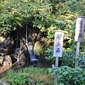 Kaiya019-IMG_2523.jpg