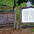 DSC09259-3.jpg