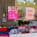 DSC01537.JPG