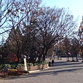 2011119-20 874.jpg