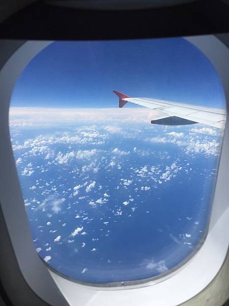 IMG_7274.jpg IMG_7274.jpg