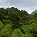 美麗的中國城-山景