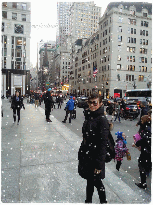 20140117_162850-SNOW.gif