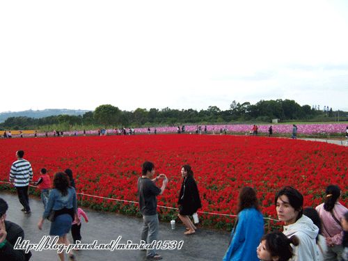 101_0297.gif