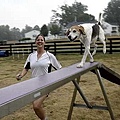 Amanda Stipe and her dog Weaver.jpg