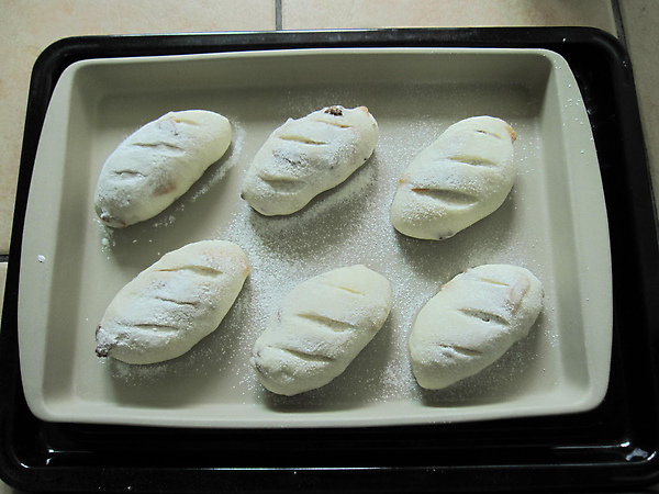 20100306 001.jpg