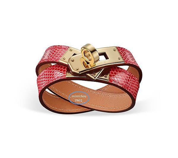 0901 Hermes lizard A5 KDT 27800.jpg