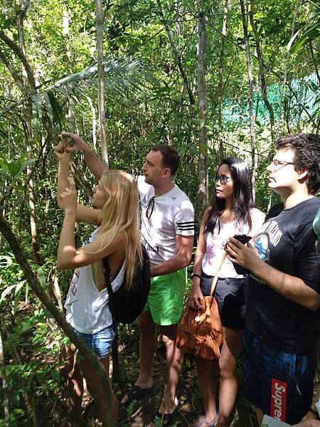 IMG_20180219_095517.jpg IMG_20180219_095517.jpg