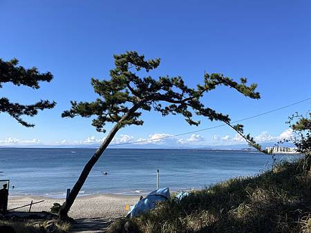 【日本・葉山女子旅】在冬日的三浦半島被陽光浪漫得一塌糊塗・輕
