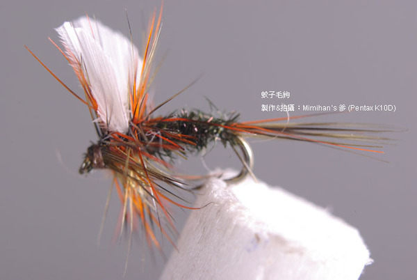 Fly Fishing~蚊子毛鉤