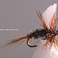 Fly Fishing~蚊子毛鉤