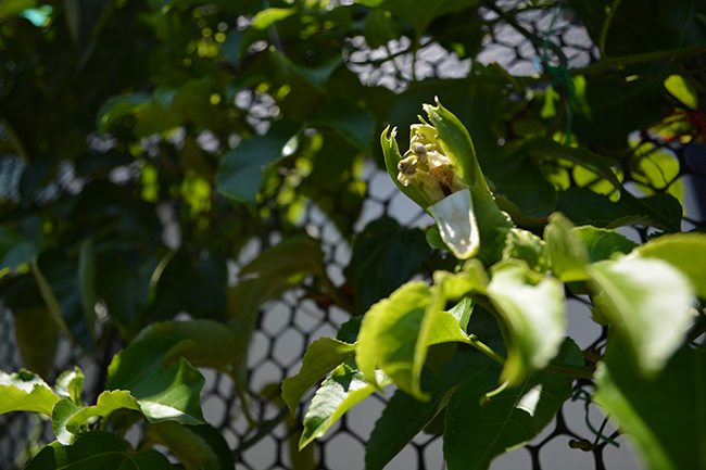 DSC_0049.JPG DSC_0049.JPG