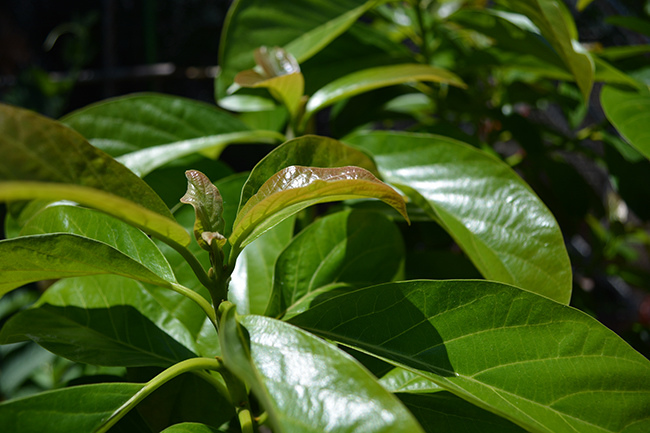 DSC_0040.JPG DSC_0040.JPG