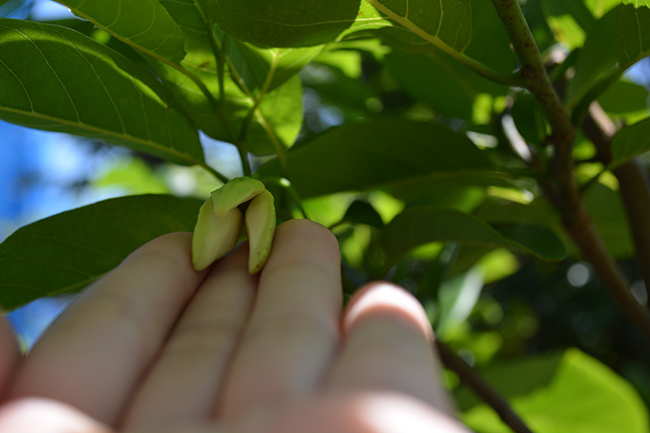 DSC_0059.JPG DSC_0059.JPG