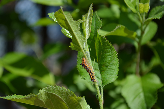 DSC_0065.JPG DSC_0065.JPG