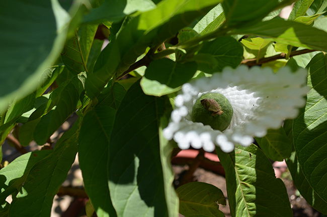 DSC_0070.JPG DSC_0070.JPG