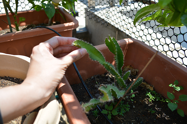 DSC_0088.JPG DSC_0088.JPG