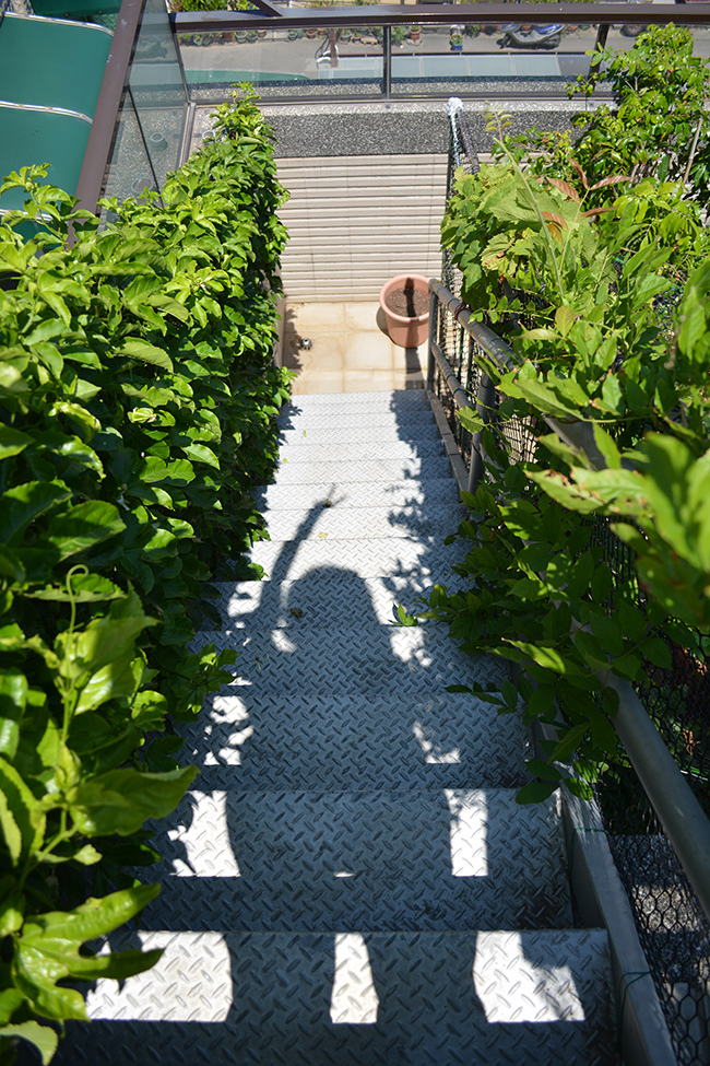 DSC_0092.JPG DSC_0092.JPG