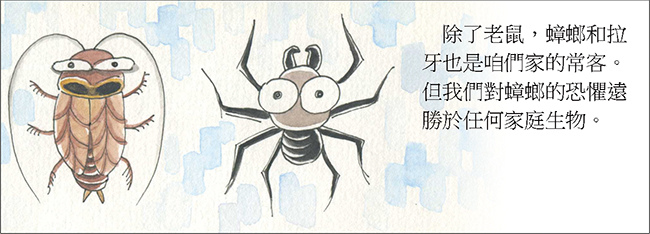 家裡來了一隻貓 家裡來了一隻貓