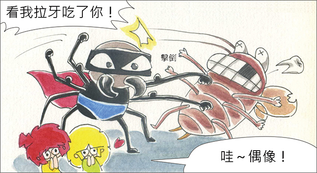 家裡來了一隻貓 家裡來了一隻貓