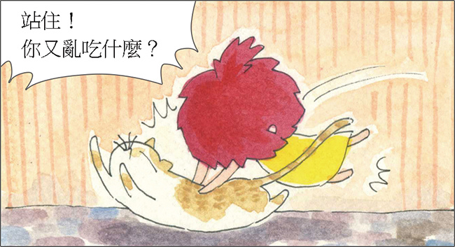 家裡來了一隻貓 家裡來了一隻貓