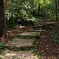 2008/12/06 承天寺、天上山、五城山、文筆山、彩蝶社區、南勢角山