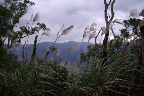 2008/12/06 承天寺、天上山、五城山、文筆山、彩蝶社區、南勢角山