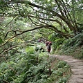 2008/12/06 承天寺、天上山、五城山、文筆山、彩蝶社區、南勢角山