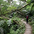 2008/12/06 承天寺、天上山、五城山、文筆山、彩蝶社區、南勢角山