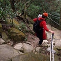 2008/12/06 承天寺、天上山、五城山、文筆山、彩蝶社區、南勢角山