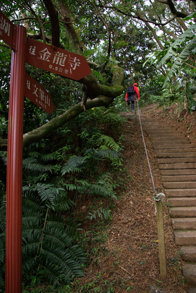 2008/12/06 承天寺、天上山、五城山、文筆山、彩蝶社區、南勢角山