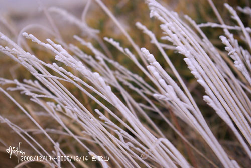 2008/12/13～2008/12/14 合歡山百岳登山行