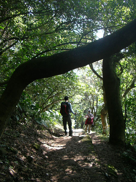 2009/1/18 向天池～興福寮