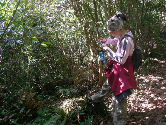 2009/1/18 向天池～興福寮