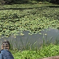 2009/8/29 福山植物園