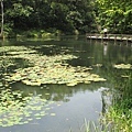 2009/8/29 福山植物園