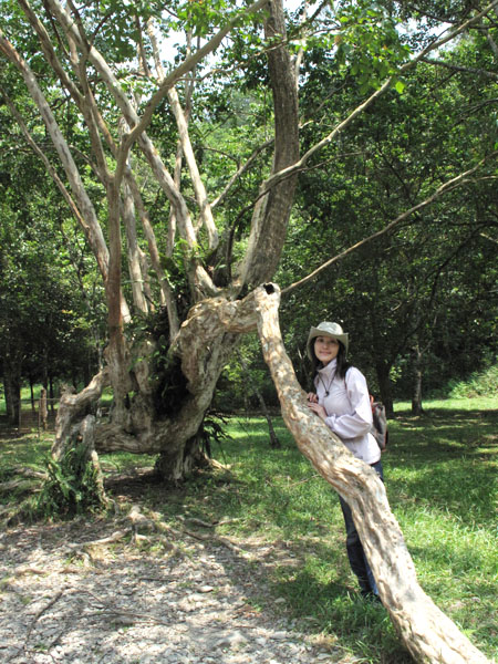 2009/8/29 福山植物園