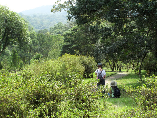 2009/8/29 福山植物園