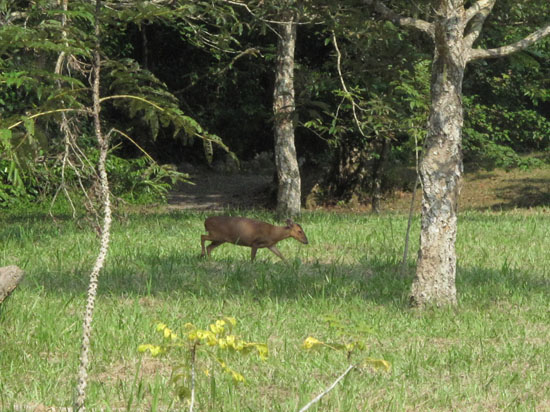 2009/8/29 福山植物園