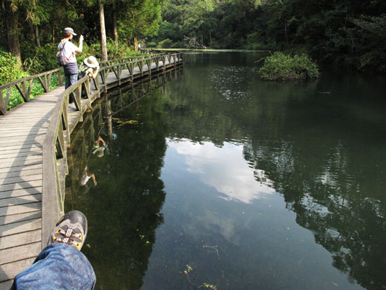 2009/8/29 福山植物園