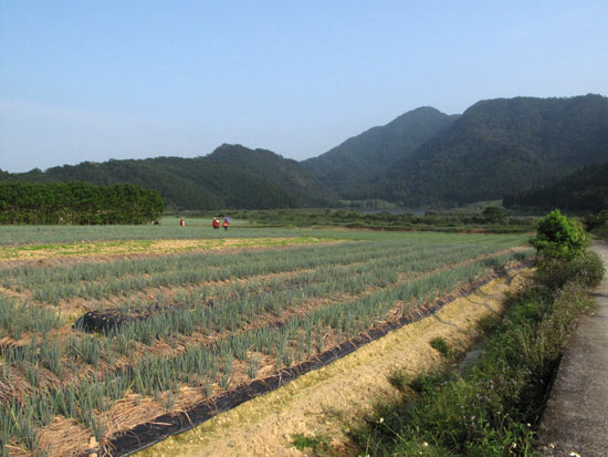 2009/8/29 福山植物園