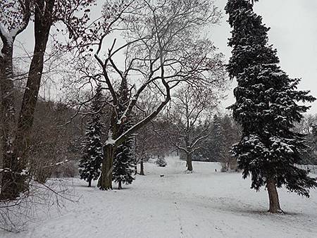 DSC00851.jpg DSC00851.jpg