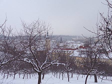 DSC00864.jpg DSC00864.jpg