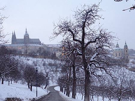 DSC00865.jpg DSC00865.jpg