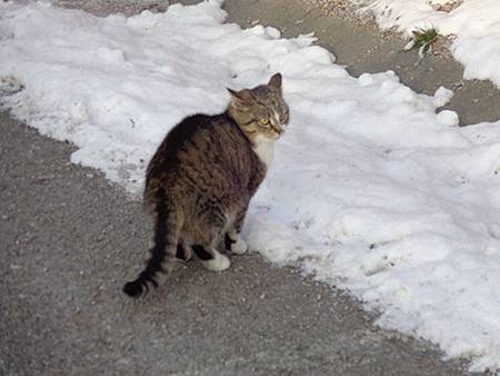 DSC00907.jpg DSC00907.jpg