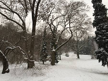 2016-01-18 15.27.57.jpg 2016-01-18 15.27.57.jpg