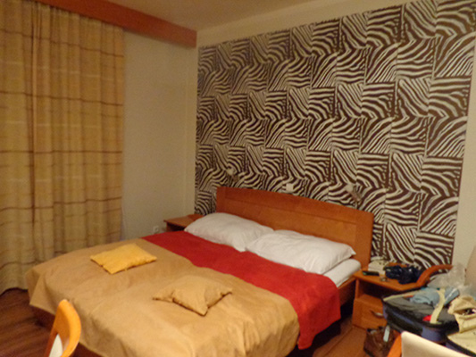 DSC00480.jpg DSC00480.jpg